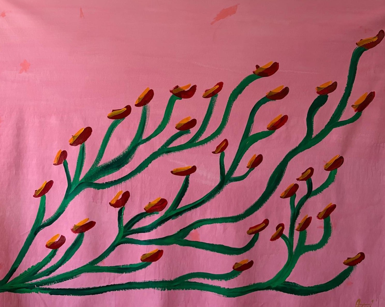 Anthuriums (Bubblegum Pink), 2026